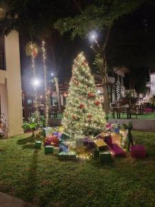 Naithonburi Beach Resort - SHA Extra Plus - 30