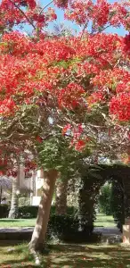 Tamra Beach Resort - 66