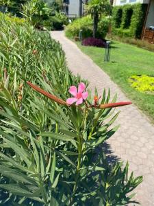 Club Tuana Fethiye - All Inclusive - 33