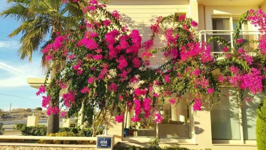 Kamer Exclusive & Suites - 24