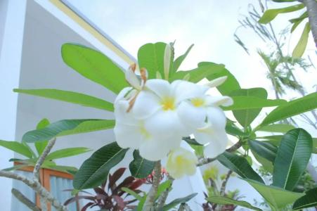 Long Set Resort - 94