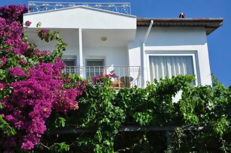 Ece Sovalye Island - 65