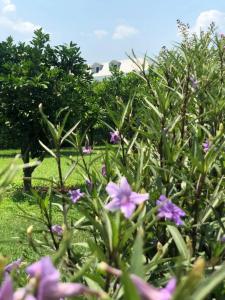 Queen's Park Le Jardin - 71