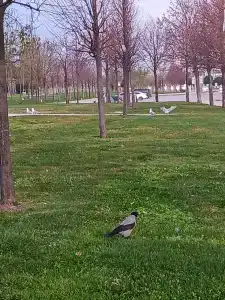 The Green Park Pendik & Convention Center - 71