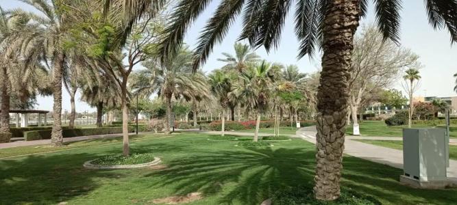Millennium Place Barsha Heights - 46