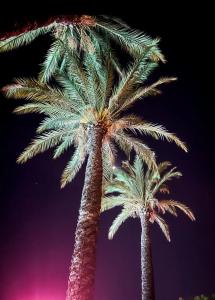 Vikingen Infinity Resort & Spa - 71