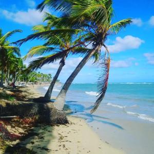 Grand Sirenis Punta Cana Resort & Aquagames - All Inclusive - 57