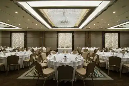 Clarion Golden Horn - 58