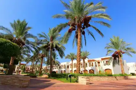 Coral Hills Resort Sharm El-Sheikh - 0