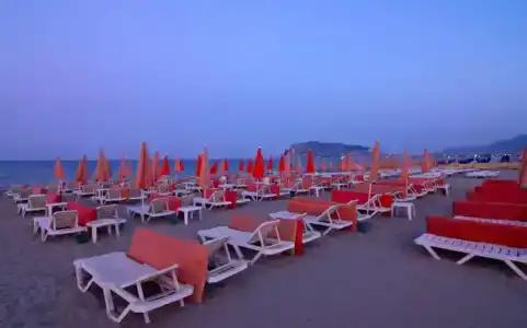 Kaila Krizantem - 36