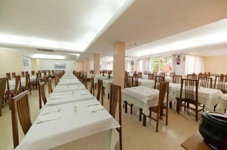 Vibra Palma Cactus - 53