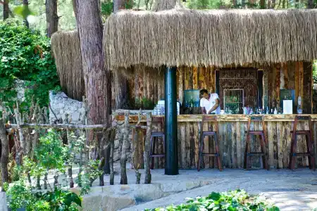 Liberty Lykia Adults Only - 66