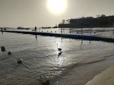 Waves Naama Bay - 89