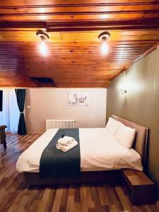 Puffin Suites - 14