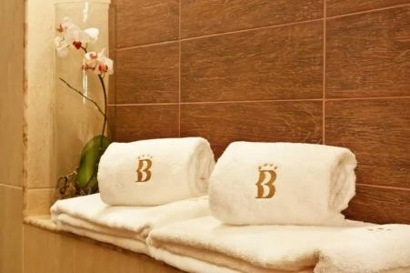 Best Western Plus Bristol - 12