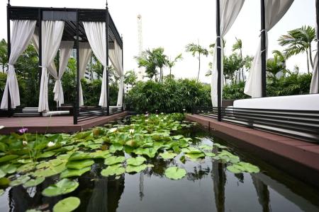 Mövenpick Sukhumvit 15 Bangkok - SHA Extra Plus Certified - 59
