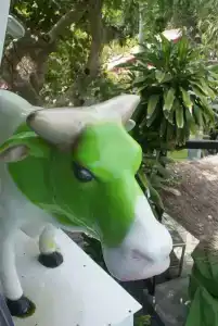 Momento Resort - 30