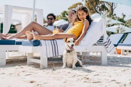 D Resort Murat Reis Ayvalik - 37