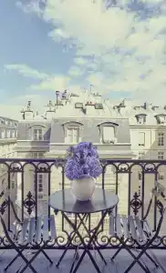 Grand Hôtel Du Palais Royal - 11