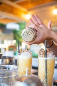 Domaine Gaogaia - 85