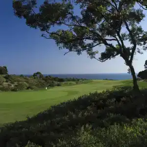 Resort at Pelican Hill - 40