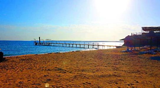 Viva Blue Resort and Diving Sharm El Naga (Adults Only) - 79