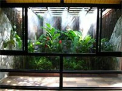 Birds and Bees Resort - 60