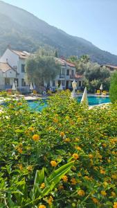 Katre Oludeniz