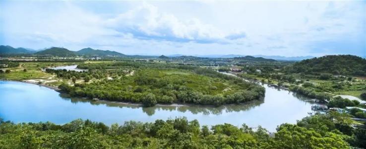 Sheraton Hua Hin Pranburi Villas - 21