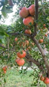 Aria Claros Beach & Spa Resort – All Inclusive 24H - 51