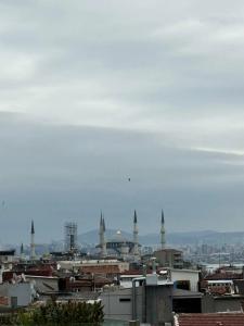 Radisson President Old Town Istanbul - 85