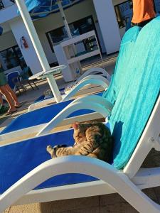 La Rosa Waves Beach - Couple & Families Only - 65