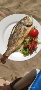 Calido Maris All Inclusive - 95