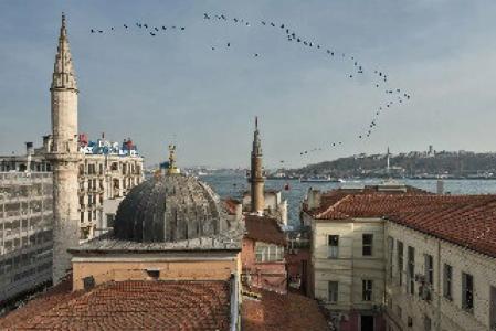 Ada Karakoy - Special Category - 48
