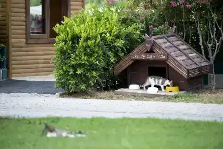 Sentido Trendy Verbena Beach - 71