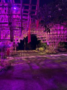 Cassia Phuket - SHA Extra Plus - 39