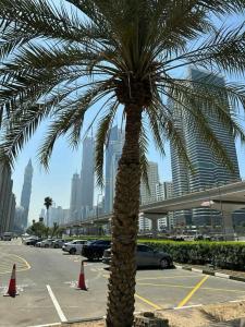 Novotel World Trade Centre Dubai - 10