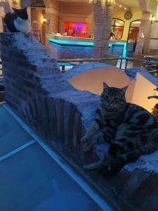 Limak Arcadia Sport Resort Belek - 43