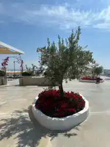 Armas Beach - 86