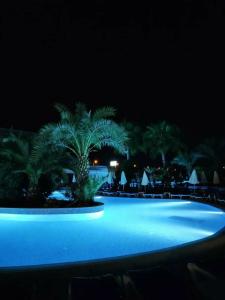 Calido Maris All Inclusive - 85