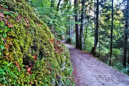 Dorint SportGarmisch-Partenkirchen - 11