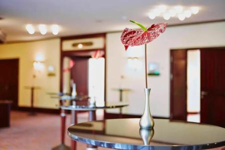 Steigenberger Conti Hansa - 27