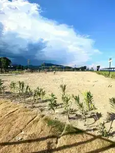 İstanbul Beach - 80