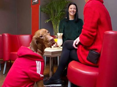 Ibis Kaunas Centre - 42