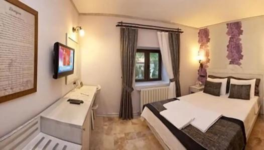 Assos Behram Special Class Adult Only 12 - 45