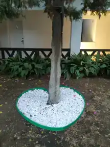 Bitez Garden Life - 92