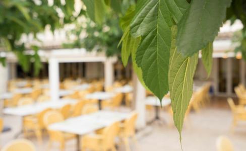 Houm Plaza Son Rigo - 58