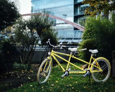 Golden Tulip Aix en Provence - 6