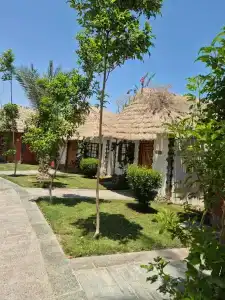 Panorama Bungalows Resort El Gouna - 97