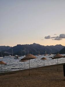 Mert Seaside (Adult only +16) - 68